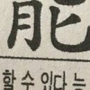 코코파크 이미지