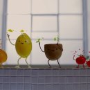 빛나워시 이미지