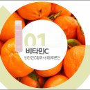 내손으로TV 이미지