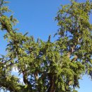 노당1리 이미지