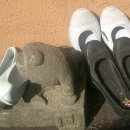 꽃내음약국 이미지