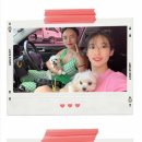 파울렌첸 이미지