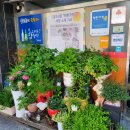 웃는돈지국수가 이미지