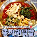 홍익대학교 정문 | [공지] 매운 닭발 땡길 땐 홍대 좋아해닭발, 국물닭발 후기