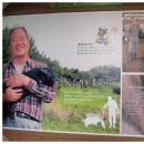 제주도흑돼지 이미지