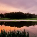 알프스퍼블릭 이미지