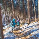 경주숲속생명의원 이미지