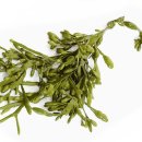 제주이모네 이미지