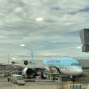 이든목장 | 실시간 뉴질랜드 북섬 여행 1-2일차