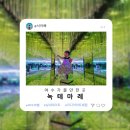 여수 가볼만한곳 추천, 실내 미디어아트 체험 장소 녹테마레