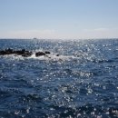 협이네하우스 이미지