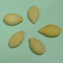 동아한의원 이미지