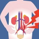 신우휘트니스 이미지