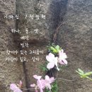 시인 전정현 시 소개 3 이미지