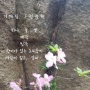 사랑을 주우려다 시를 쓰다 이미지