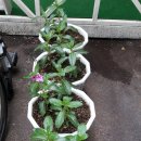 꽃보다의료기 이미지