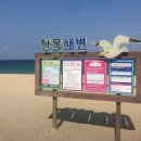 대기리 산촌체험학교 야영장 이미지