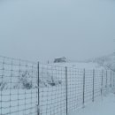 2012년 2월 12일 일요일 선자령 정기산행(눈바람의 나라로...) 이미지