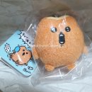 짐패스 나가노마켓 오니곰 금담곰 재입고 구매 후기