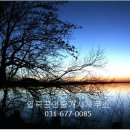 태양안마시술소 이미지