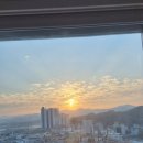 고성여행 남일대해수욕장 남파랑가 그레이스정원 22.11.11금요일