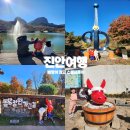 전라북도 산림박물관 | 11월 진안 가볼만한 곳 I 빠망이 스탬프투어로 둘러본 진안 명소 여행