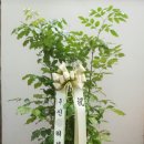 (주)더원비앤에프 이미지
