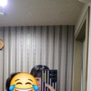 더휴편백원