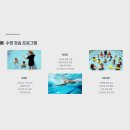 오션사이드수영장 이미지