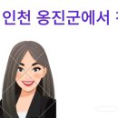 인천옹진군에서 친자확인검사 차 방문 후기