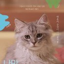 나만 없어 고양이 이미지