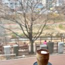 올댓 | 불광천 신상 카페 베이글 맛집 올댓커피 내돈내산 후기