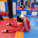 하남국술원합기도 이미지