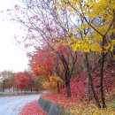 순흥농원 이미지