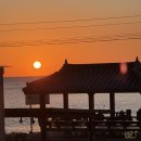 테라키아 이미지