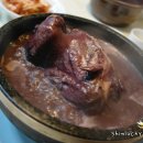 파낙스삼계탕