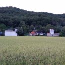 상2리 마을회관 이미지