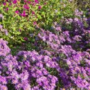 행정사사무소임광 이미지