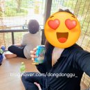 대나무랜드매점 | [내돈내산] 캐리비안베이 빌리지 명당 솔직 후기! 예약 방법부터 꿀팁까지 총정리