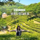 다향펜션 | [전남/보성] 보성다향대축제 주차 초대가수 입장료 기본정보 5월 어린이날 가볼만한곳 녹차축제 후기