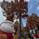 통나무소극장 | 서울랜드 크리스마스 주말 공연시간표 총정리: 아이동반 추천코스 &amp; 연간권 꿀팁