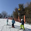 최정후 카카오 검색결과