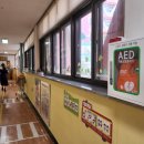 주례초등학교 병설유치원 이미지