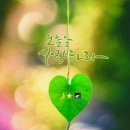 김종임 이미지