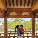 전라권코스 | 전주 당일치기 코스(대보장 웨이팅 • 풍년제과 • 전라감영 • 전주동물원)