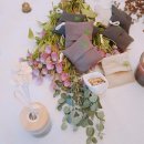 황궁아로마