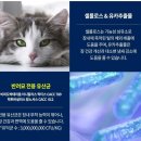 &lt;&lt;2023 메가주&gt;&gt; 후기 2탄 조구름 역대 급 규모의 떼샷 자랑
