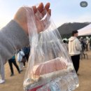 태화강 | 2026 울산 태화강 국제마라톤 봉사 후기 (7시간 30분 인정)