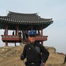 보사모