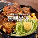 등뼈 가락점 이미지